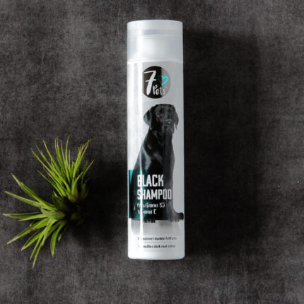 Black Shampoo angenehmer Duft
