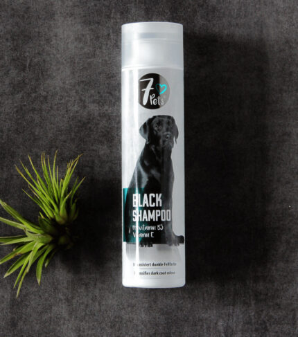 Black Shampoo angenehmer Duft