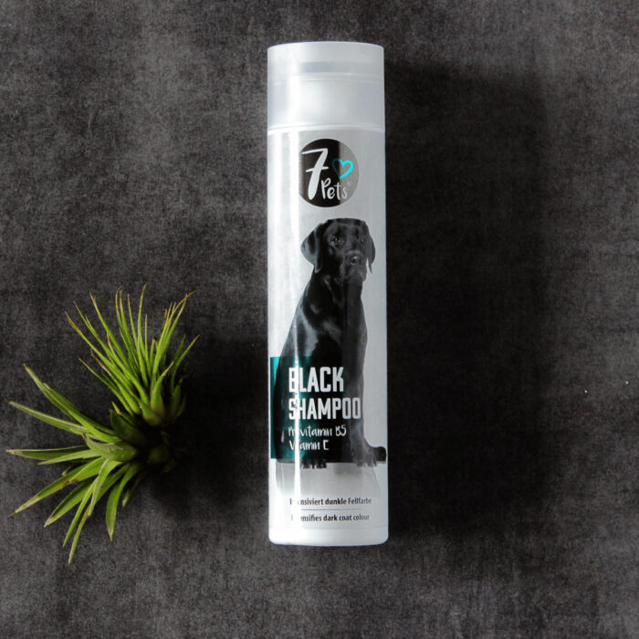Black Shampoo angenehmer Duft