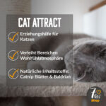 Produktvorteile Cat Attract