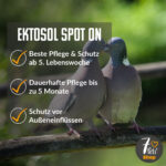 Produktvorteile Ektosol Spot on
