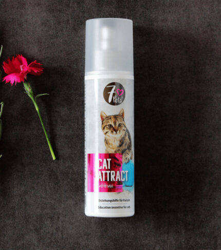 Cat Attract mit angenehmen Duft