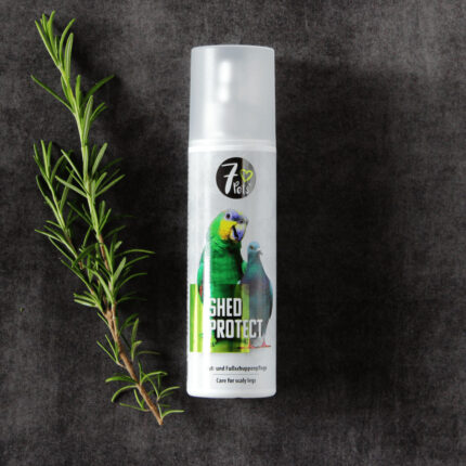 Reinigung für Vögel Shed Protect