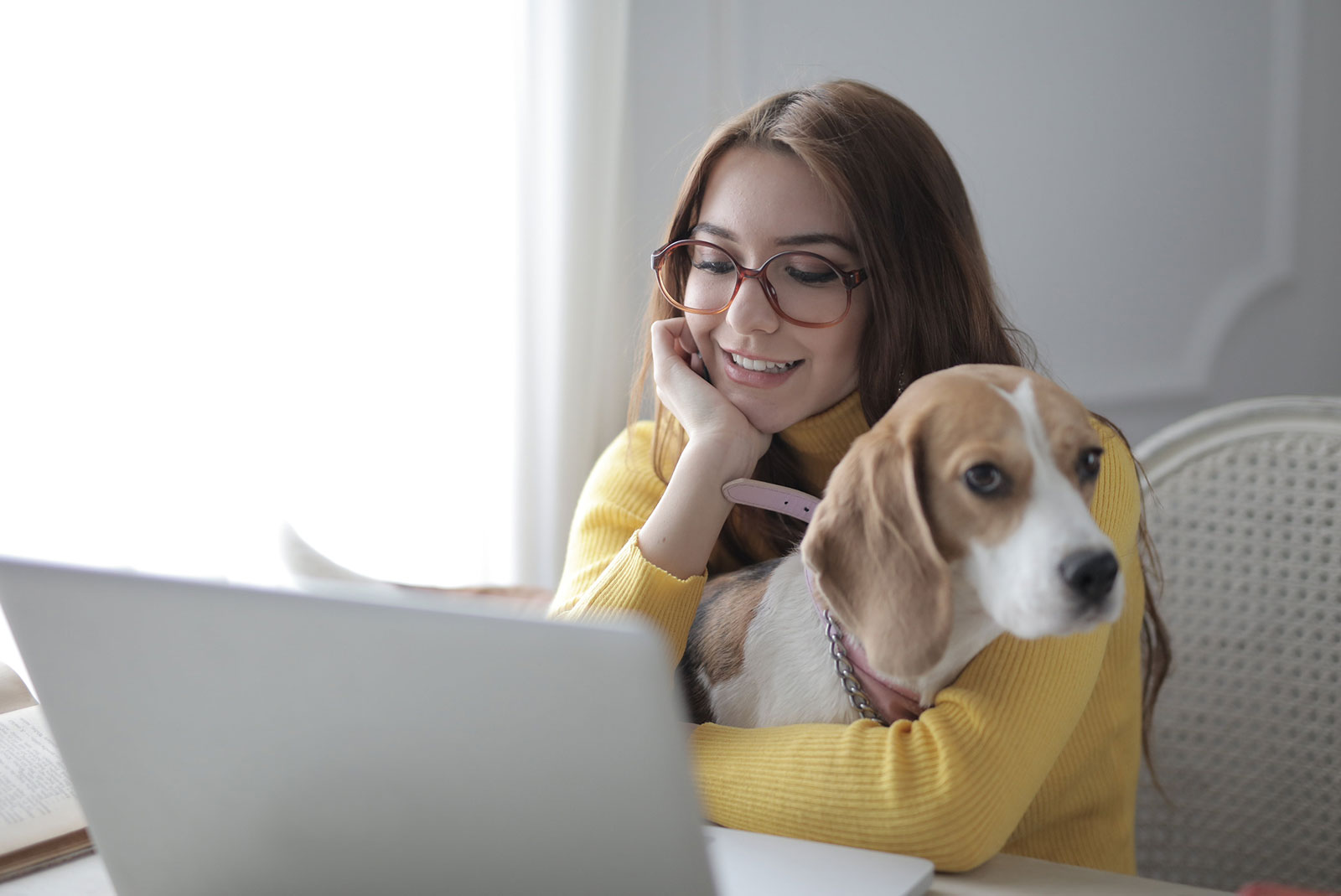 7 Pets Newsletter