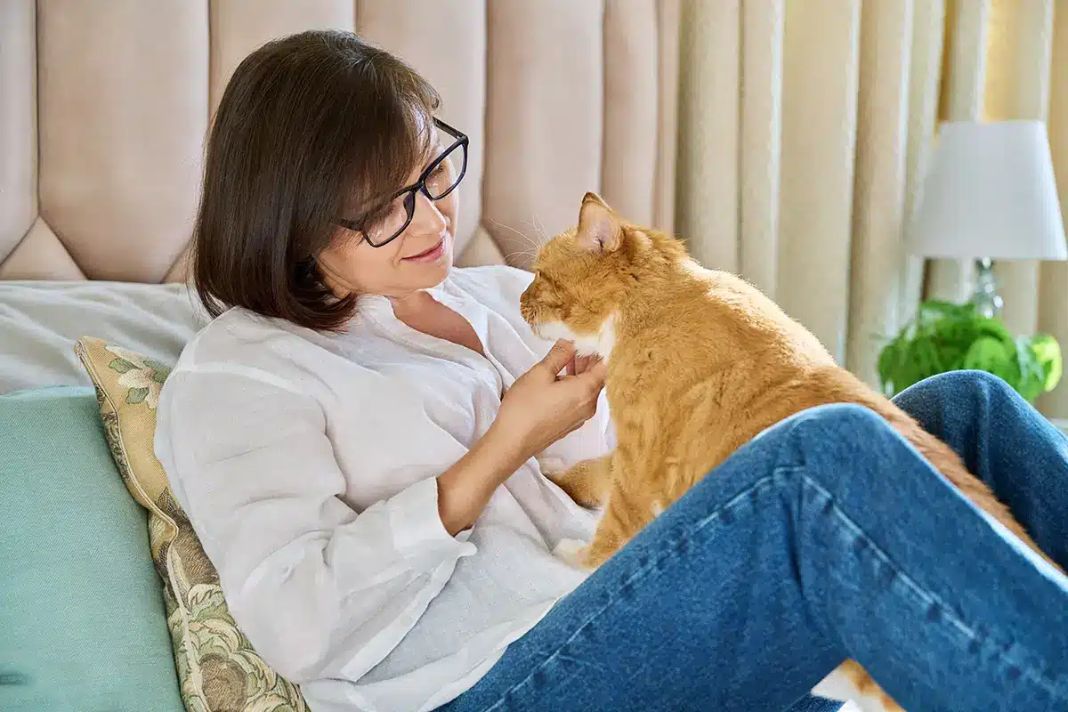 Katze auf arm