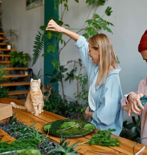 young happy family couple decorator professional o 2024 12 05 06 12 05 utc